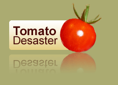 Tomato Disaster
